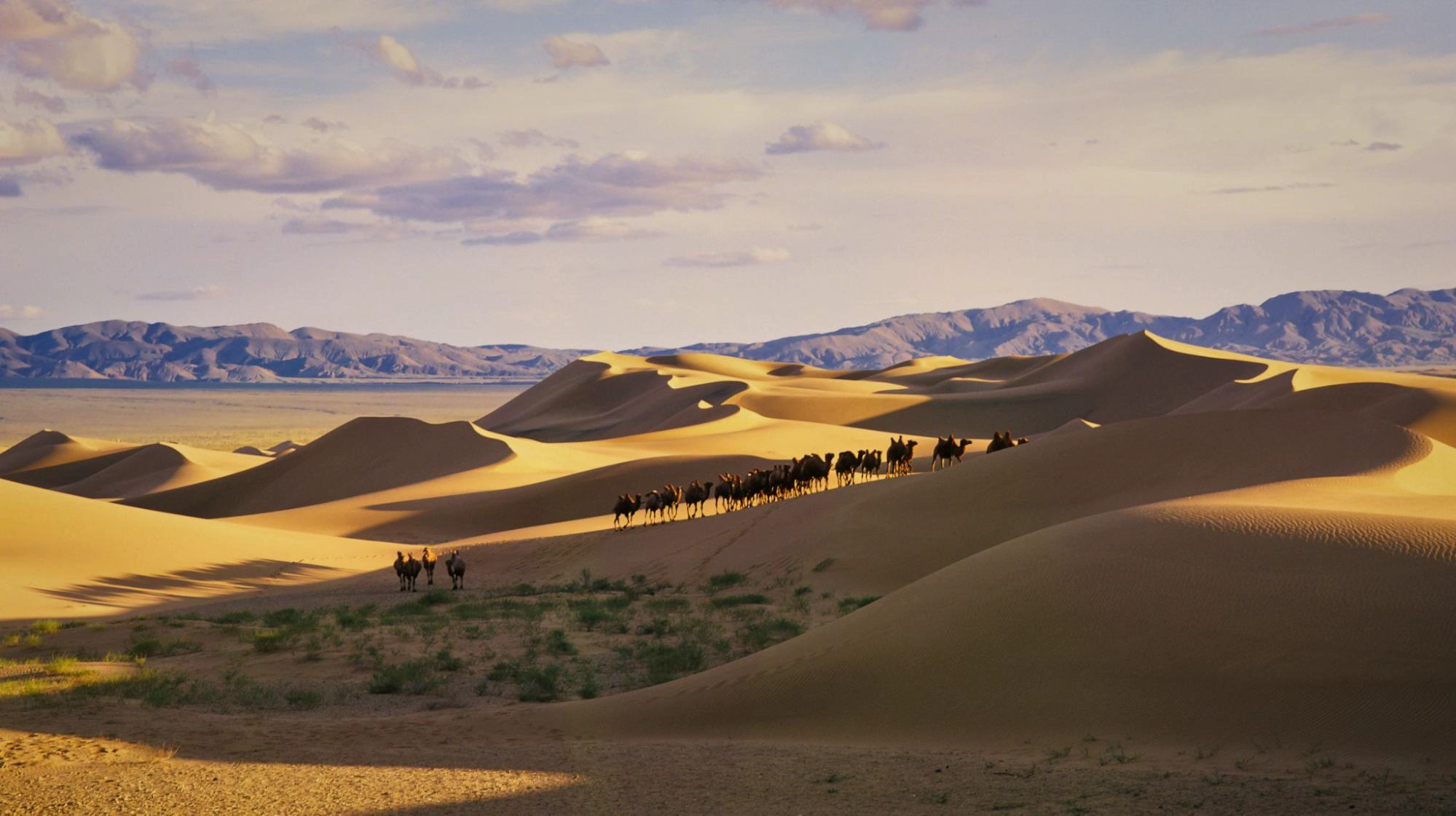 Mongolia: Redefining Luxury as Space, Silence, and Scale