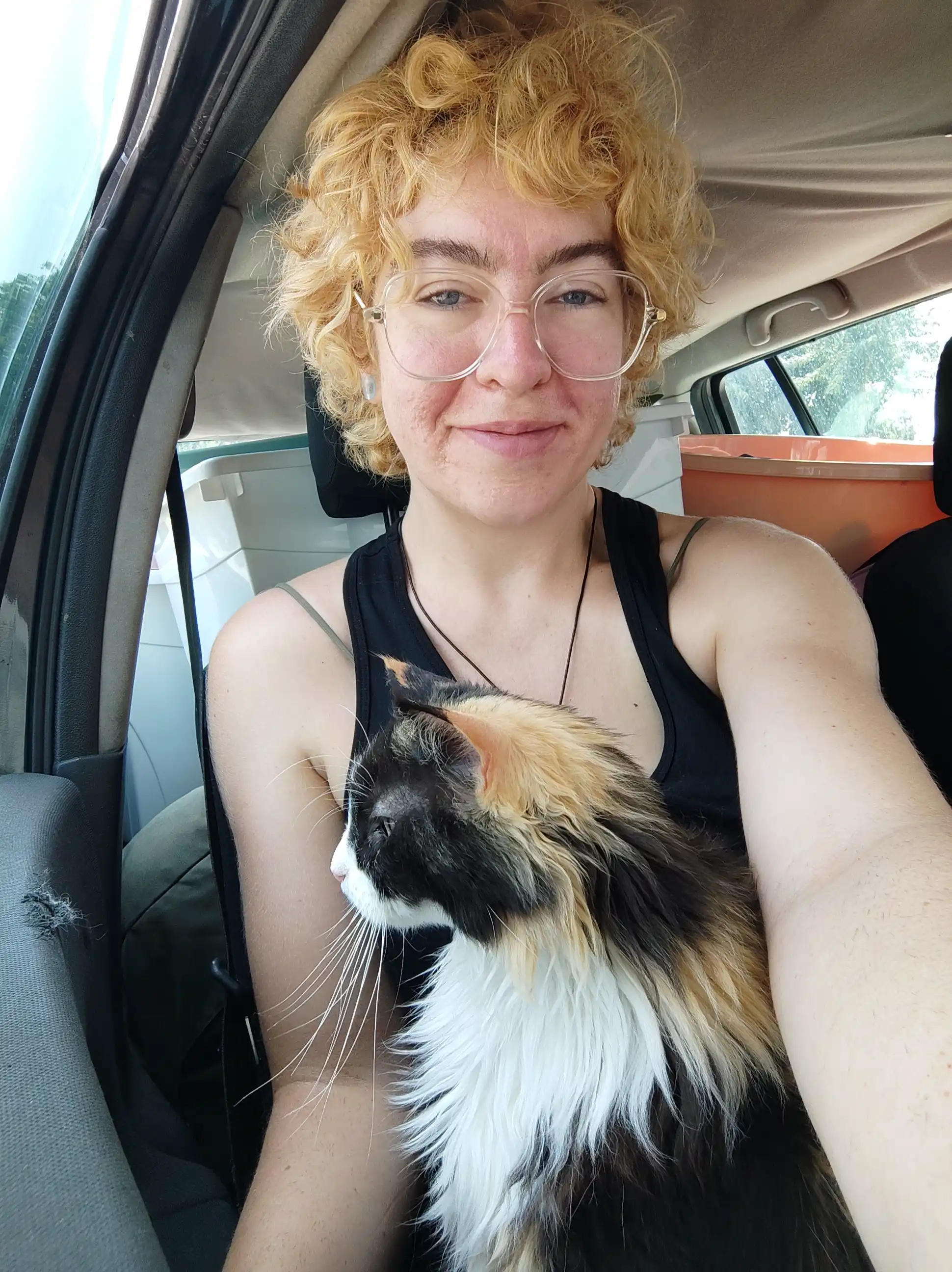 Driving through scenic landscapes with cat companion