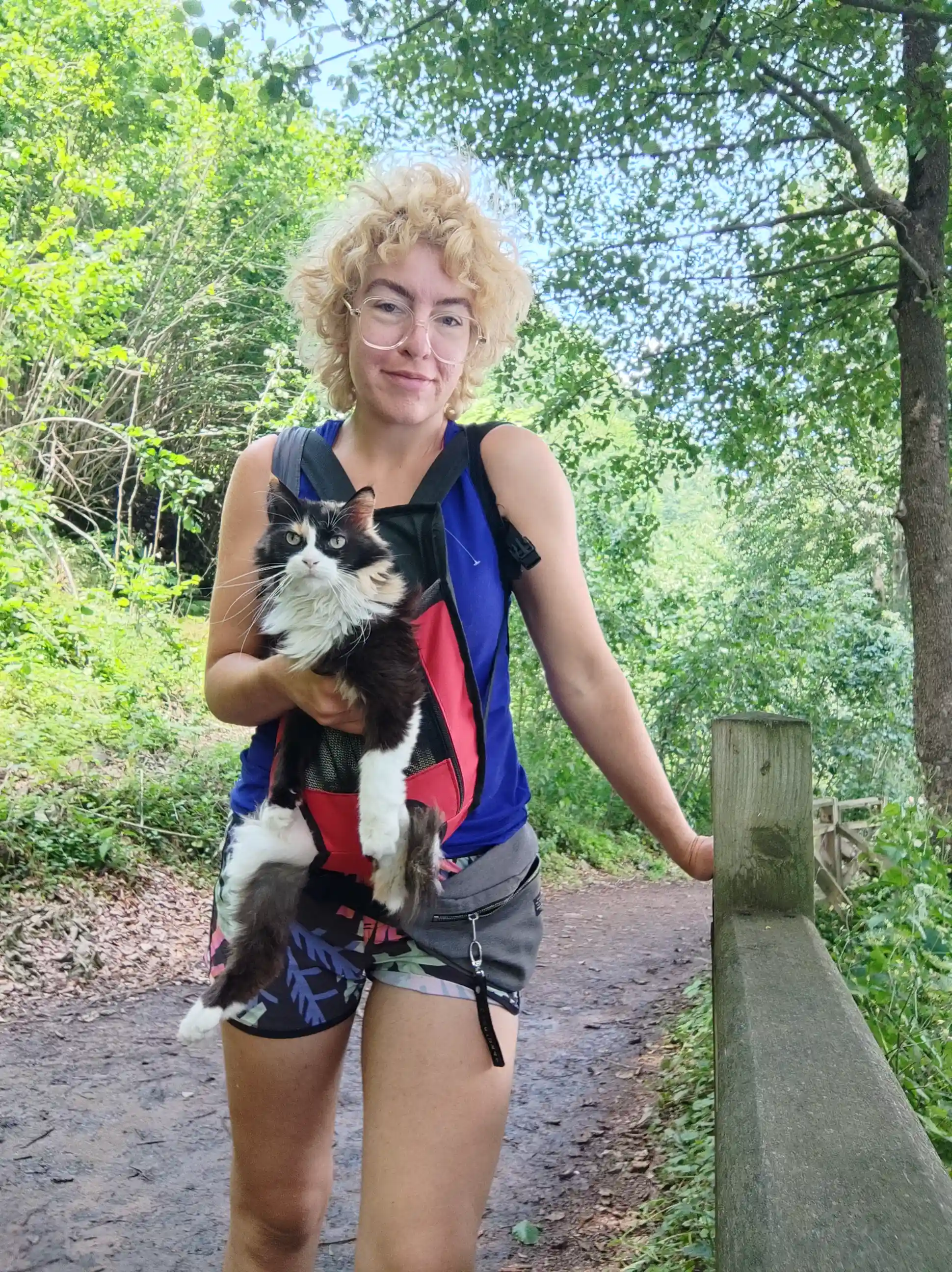 Adventurous hiking with cat through mountain paths