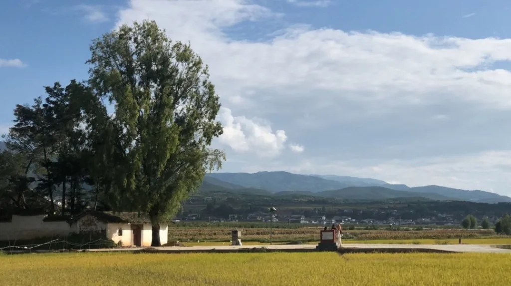 Autumn in Dali with fields, trees, mountains, and blue sky in Yunnan China