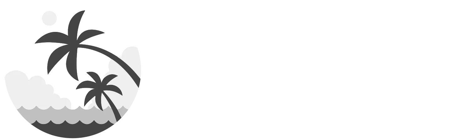 Nomadwise.io logo